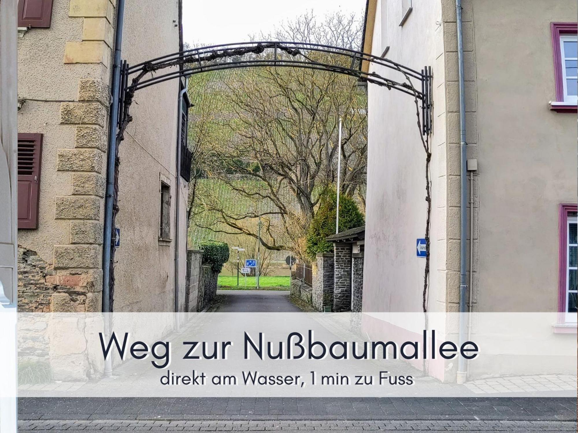 Komfort Fewo L Moselstay L Maximal 4 Personen Und Baby I Brauneberg Mosel I Wifi I ภายนอก รูปภาพ