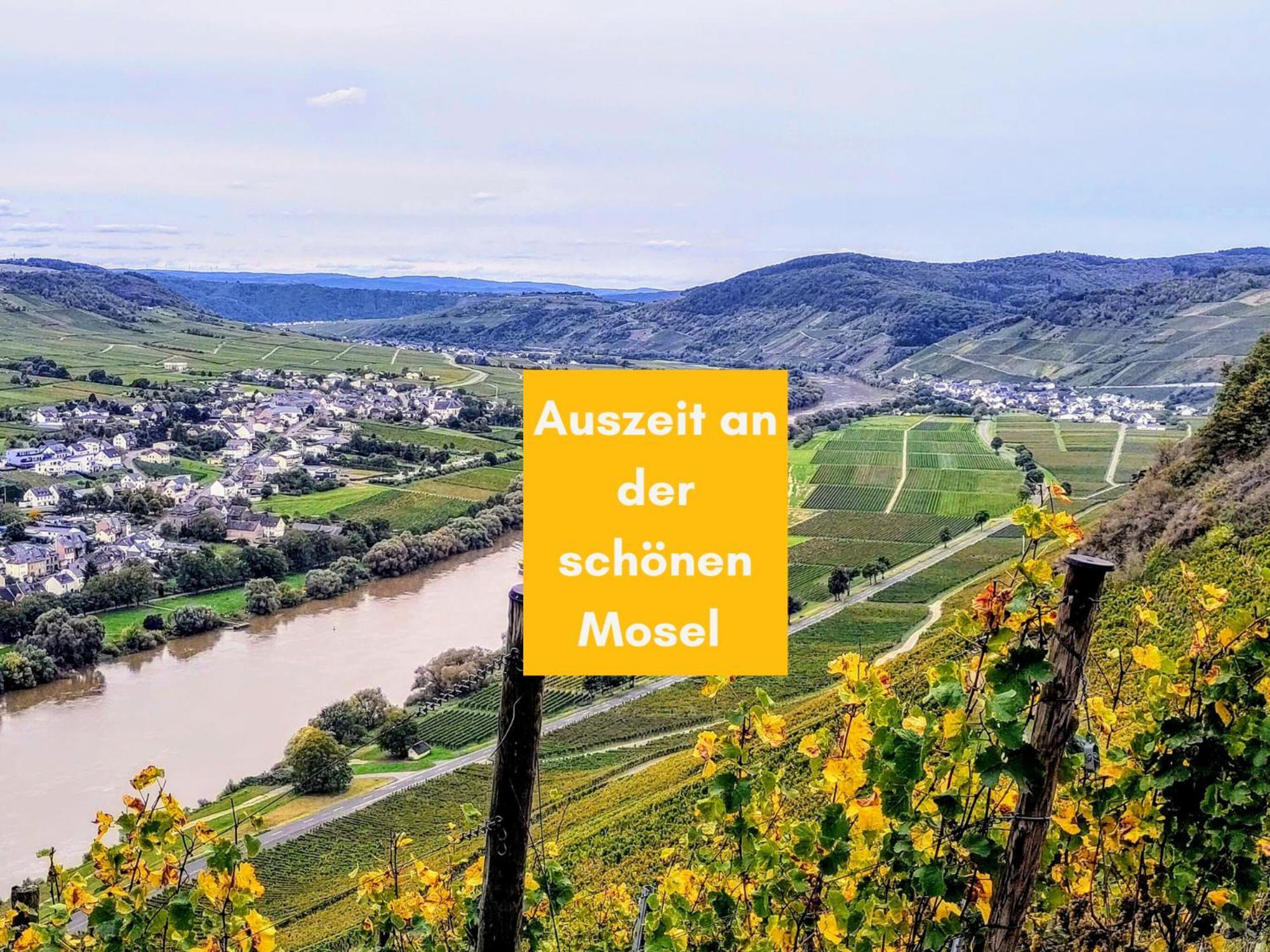 Komfort Fewo L Moselstay L Maximal 4 Personen Und Baby I Brauneberg Mosel I Wifi I ภายนอก รูปภาพ