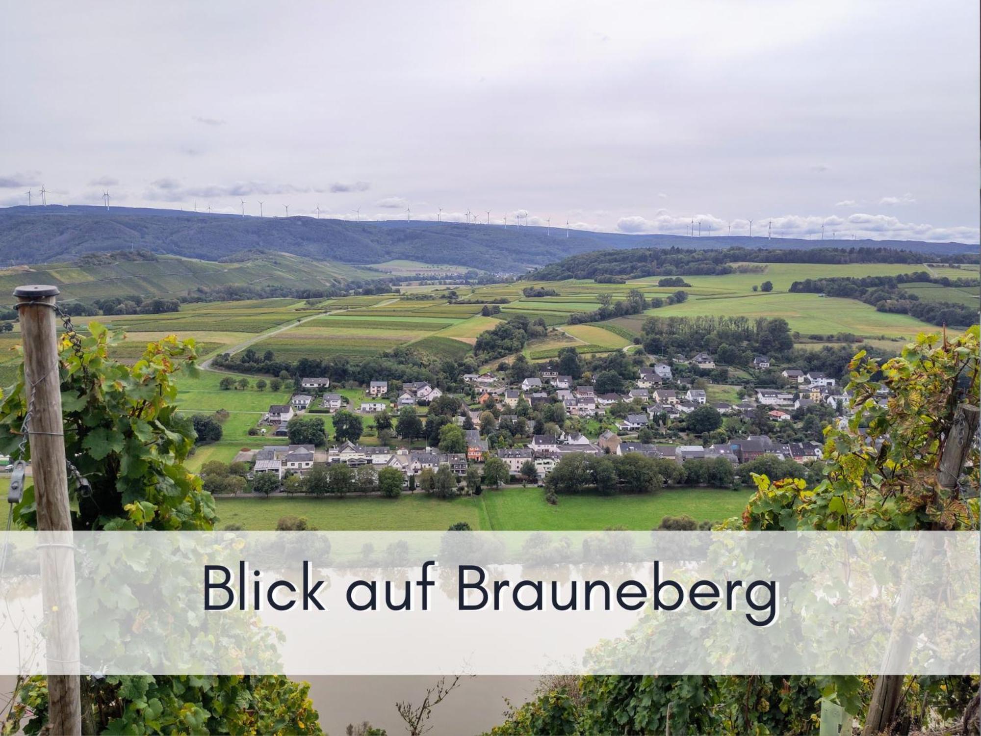Komfort Fewo L Moselstay L Maximal 4 Personen Und Baby I Brauneberg Mosel I Wifi I ภายนอก รูปภาพ