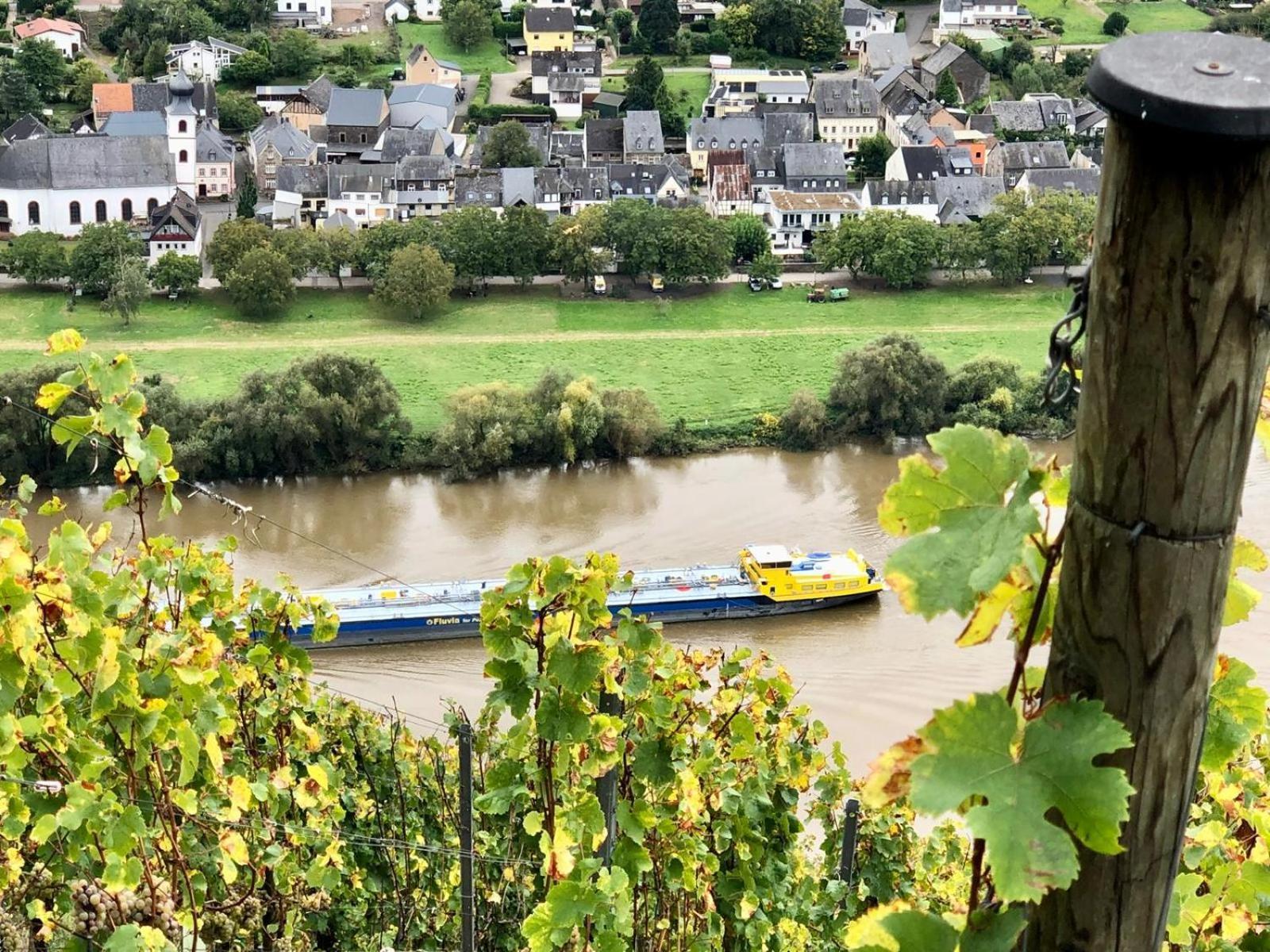 Komfort Fewo L Moselstay L Maximal 4 Personen Und Baby I Brauneberg Mosel I Wifi I ภายนอก รูปภาพ